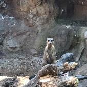 2021-06-17 ZOO Hodonn